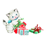 Cat and Christmas packages