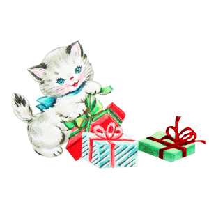 Cat and Christmas packages