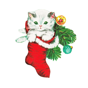 White Kitten in a Christmas Sock