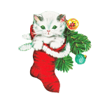 White Kitten in a Christmas Sock