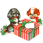 Dogs and Christmas present